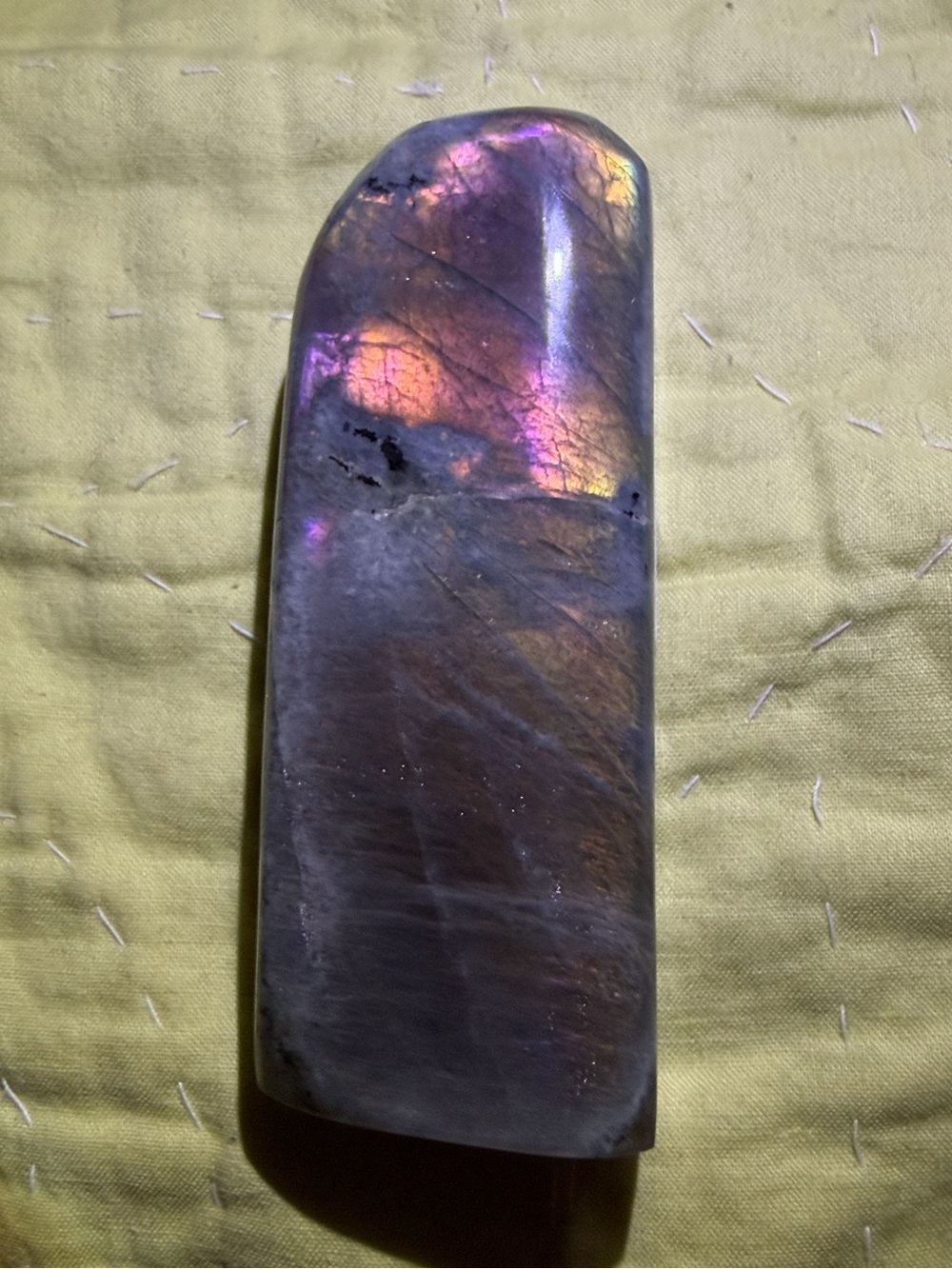 3.89 Inch Sunset Lab - Picture 1 of 3